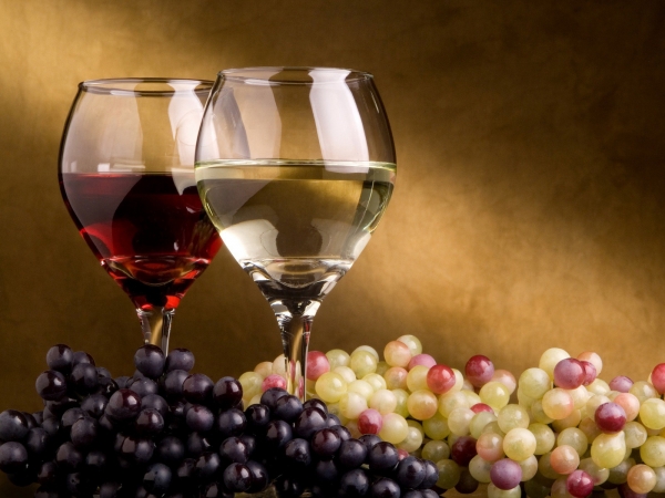 Drinks Menu Costas Taverna Greek Restaurant Christchurch New Zealand